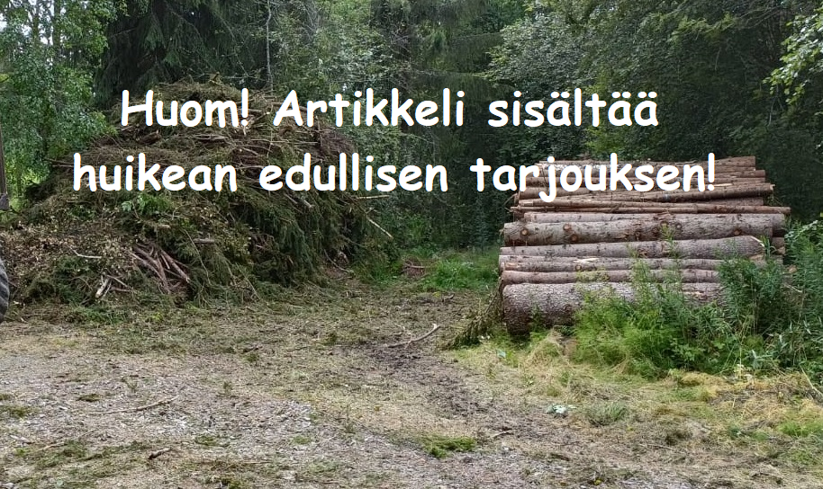 Read more about the article Tontti- ja maisemahakkuu