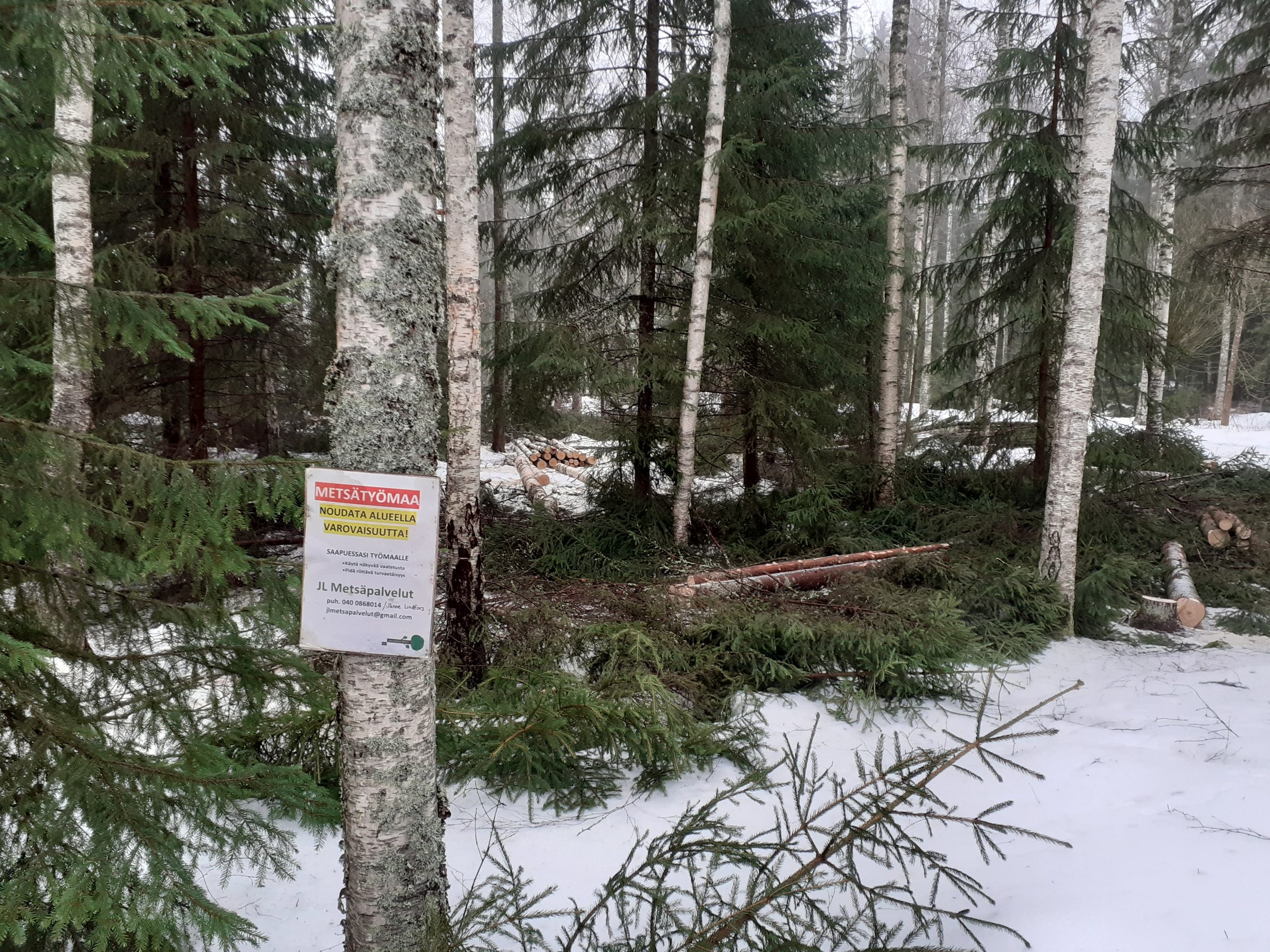 You are currently viewing TONTTIMETSÄT KUNTOON